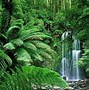 Image result for tropical rainforest wallpapers 4k computer