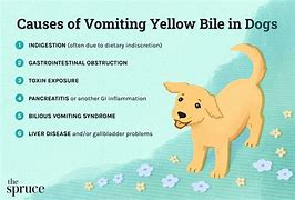 Image result for Throwing Up Yellow Bile