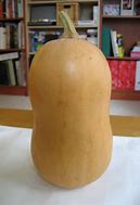 Image result for Start Shaped Squash