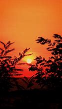 Image result for iPhone 14 Sunset Photos