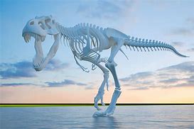 Image result for Dinosaur Skeleton Model