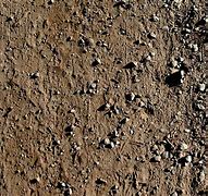 Image result for Dirt Road Texture