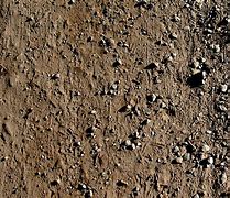 Image result for Dirt Path Texture