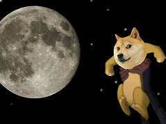 Image result for To the Moon Doge Meme