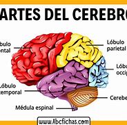 Image result for Cerebro