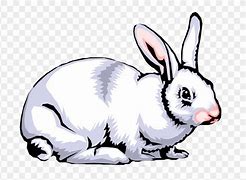 Image result for Show Rabbit Clip Art