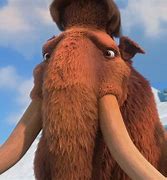Image result for Ice Age Manny Stare