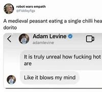 Image result for Adam Levine Text Meme