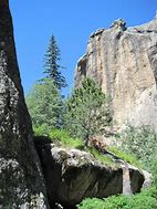 Image result for Black Hills Sacred Sites