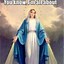 Image result for Assumption of Mary Meme