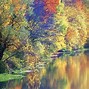 Image result for Fall iPad Wallpaper