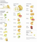 Image result for Fruits Similar to Pears