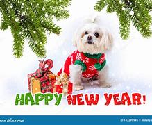 Image result for New Year Dog PFP