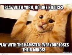 Image result for yes memes cats