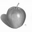 Image result for Realistic Drawing of Apple