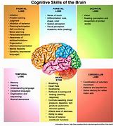 Image result for Cognitive Psychology Brain