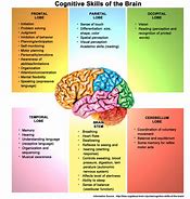 Image result for Improve Memory and Cognitive Function