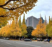 Image result for Tokyo Fall