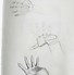 Image result for Hand Sketch Drawing