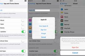 Image result for iPhone Remove Apple ID