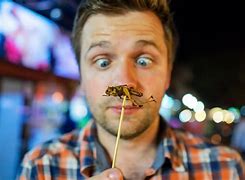 Image result for 1000 Crickets