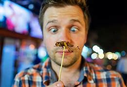 Image result for Crickets in Candy