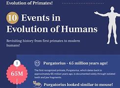Image result for Timeline Evolution Infographic
