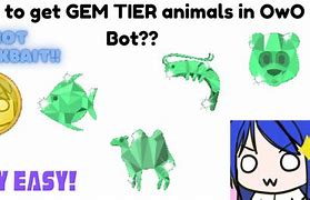 Image result for Best Owo Animals Team