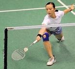 Image result for Net Shot Badminton