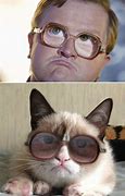 Image result for Bubbles Nice Kitty Meme