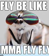 Image result for I'm Fly Meme