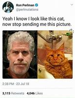 Image result for Legendary Cat Memes