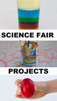 Image result for 100 Easy Science Fair Projects