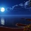 Image result for Cute Moon Night