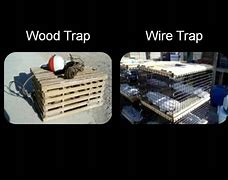 Image result for Oval Trap