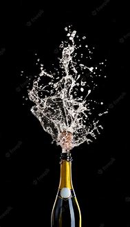 Image result for Champagne Splash
