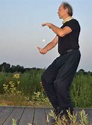 Image result for Tai Chi Styles