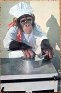 Image result for Monkey Cooking Meme