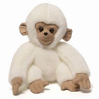 Image result for Stuffed Monkey