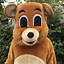 Image result for Teddy Bear Mascot Costume