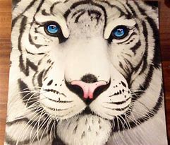 Image result for White Tiger Face Drawing
