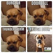 Image result for Doorbell Dog Meme