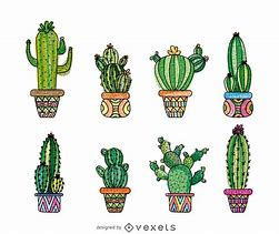 Image result for Different Types of Cactus in Arizona Drawing