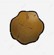 Image result for Tree Rings Texture