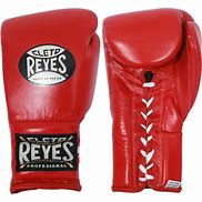 Image result for 18 Oz Boxing Gloves