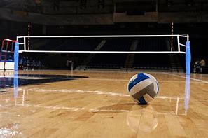 Image result for Indoor Volleyball Ball