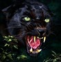 Image result for Scary Animal Wallpapers