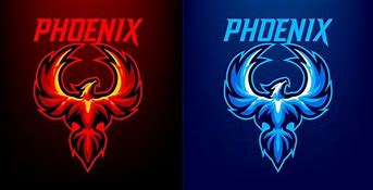 Image result for Camera/Flash Phoenix Logo
