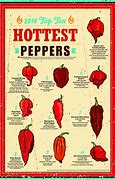 Image result for Most Spicy Pepper
