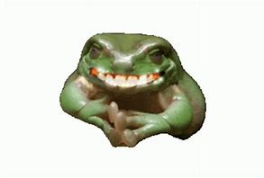 Image result for Derp Frog